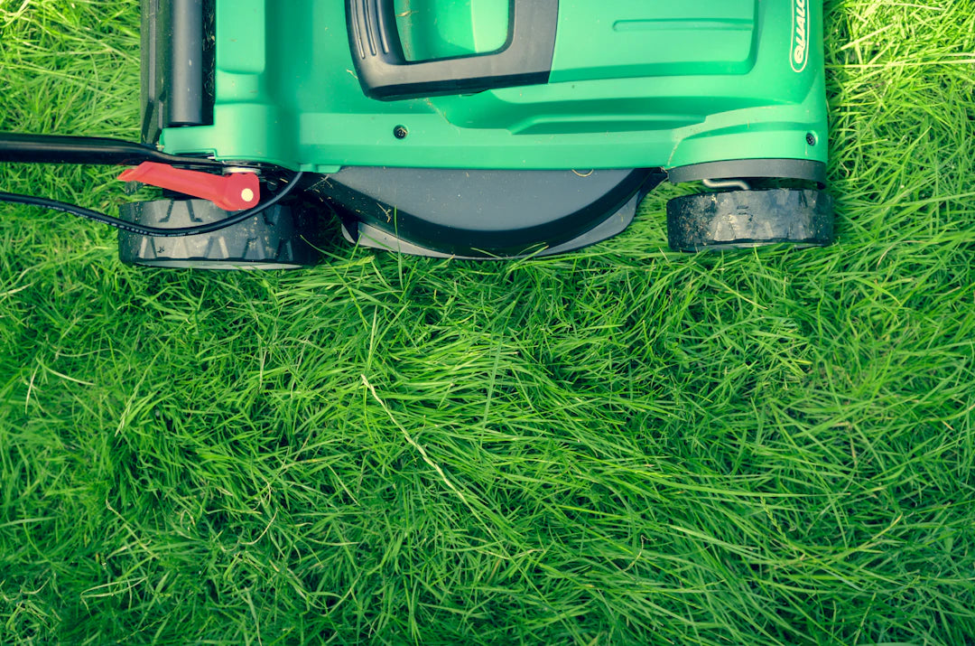 Essential Tips for Maintaining Your Lawn Game Equipment